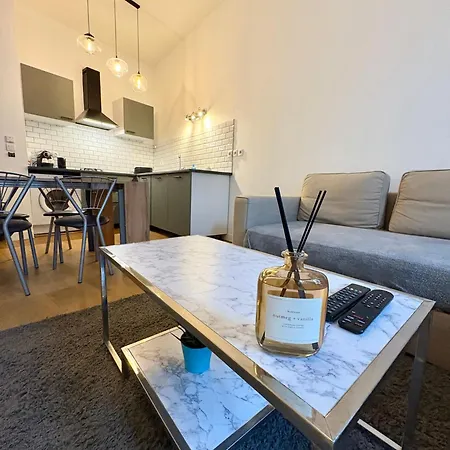 T3 Hypercentre Proche Gare Apartment *